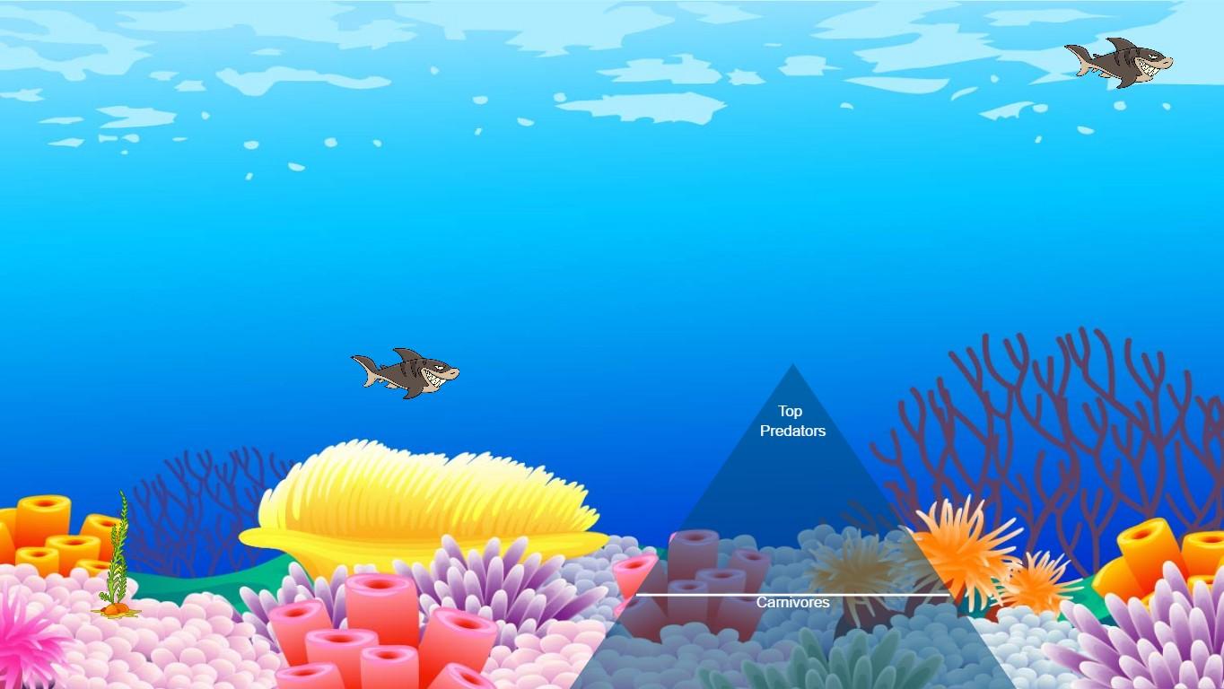 Ocean Ecological Pyramid - TEMPLATE