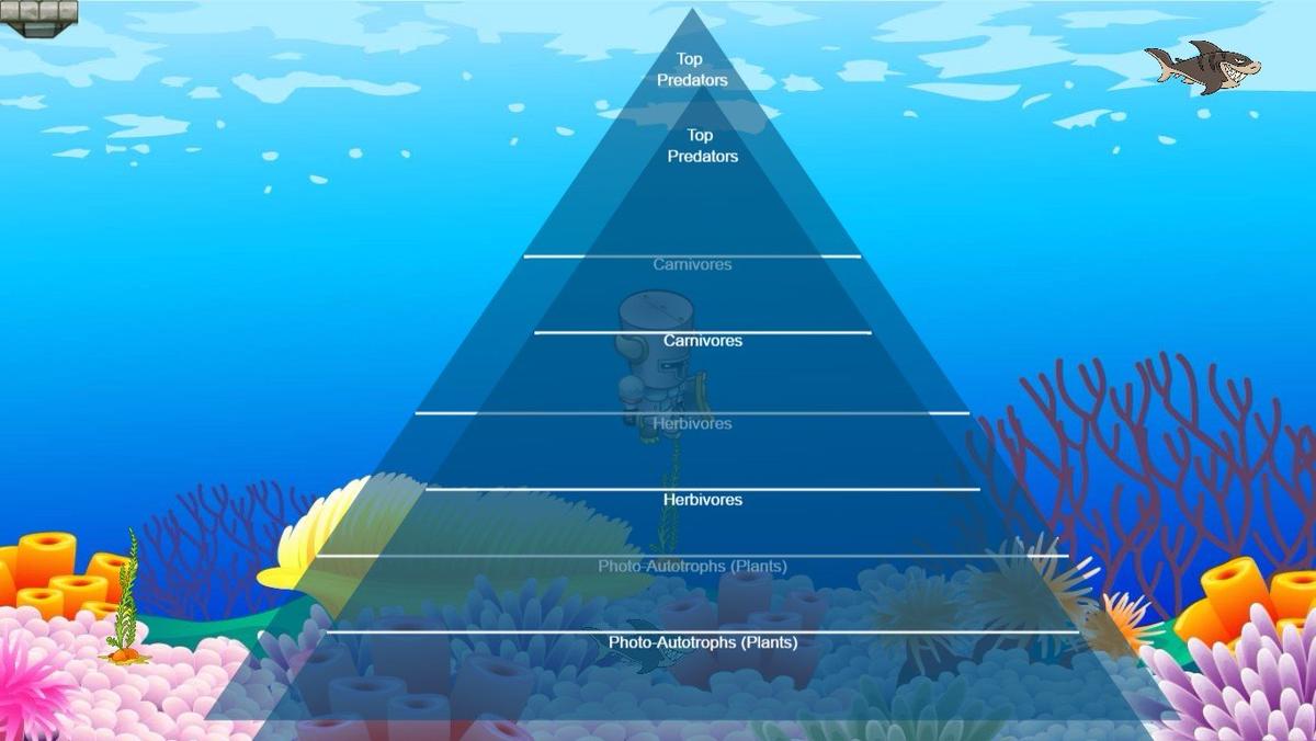 Ocean Ecological Pyramid - TEMPLATE