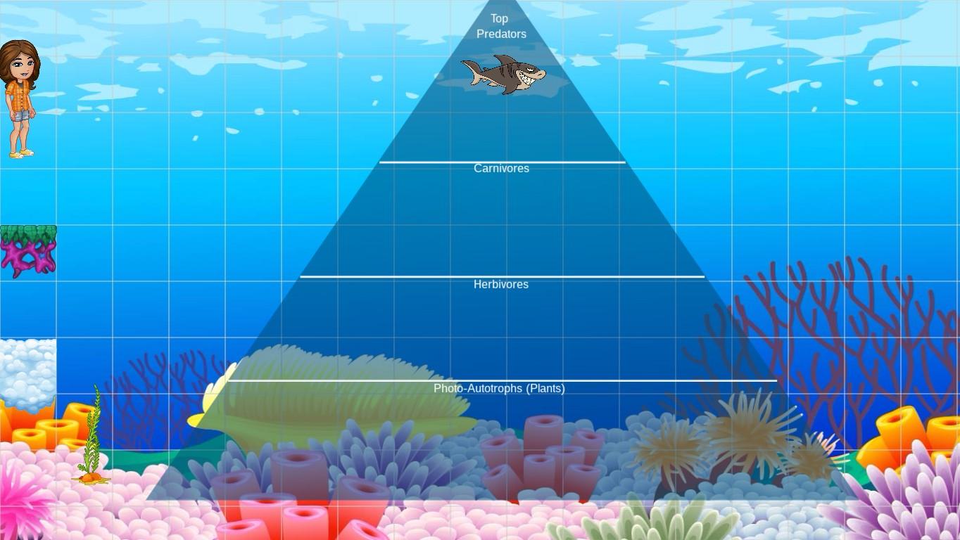 Ocean Ecological Pyramid - TEMPLATE