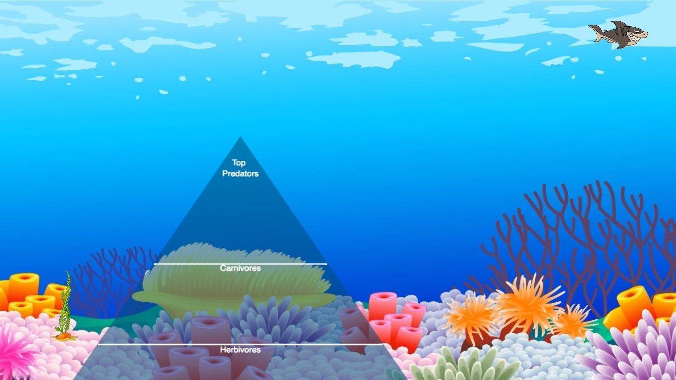 Ocean Ecological Pyramid - TEMPLATE