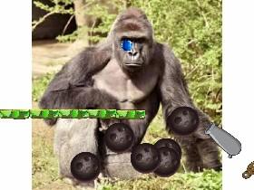 harambe