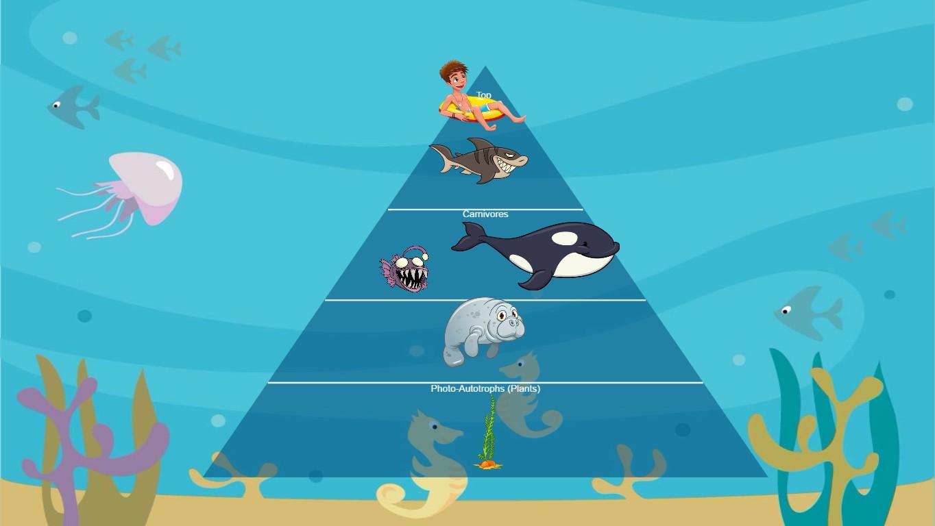 Ocean Ecological Pyramid - TEMPLATE