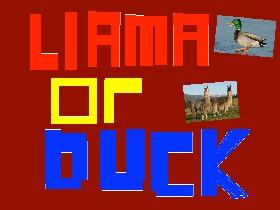 Llama or Duck? 2