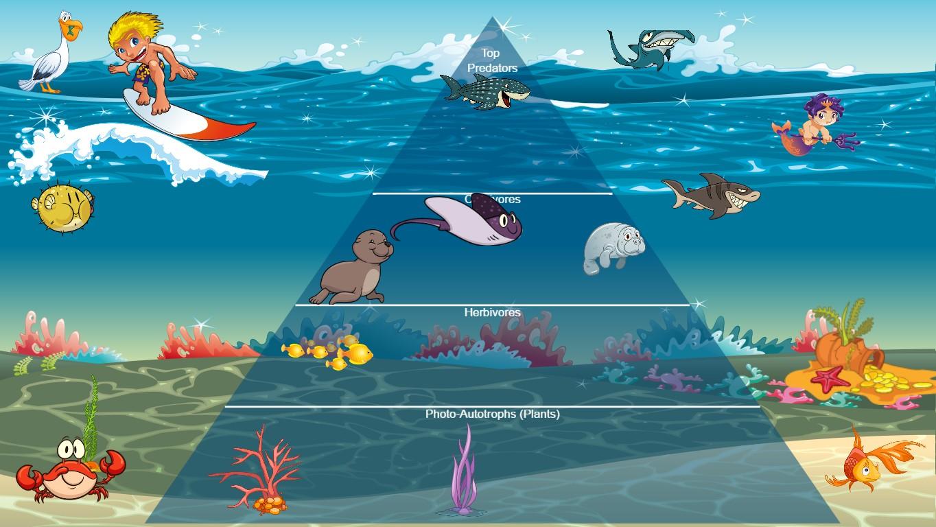 Ocean Ecological Pyramid - TEMPLATE