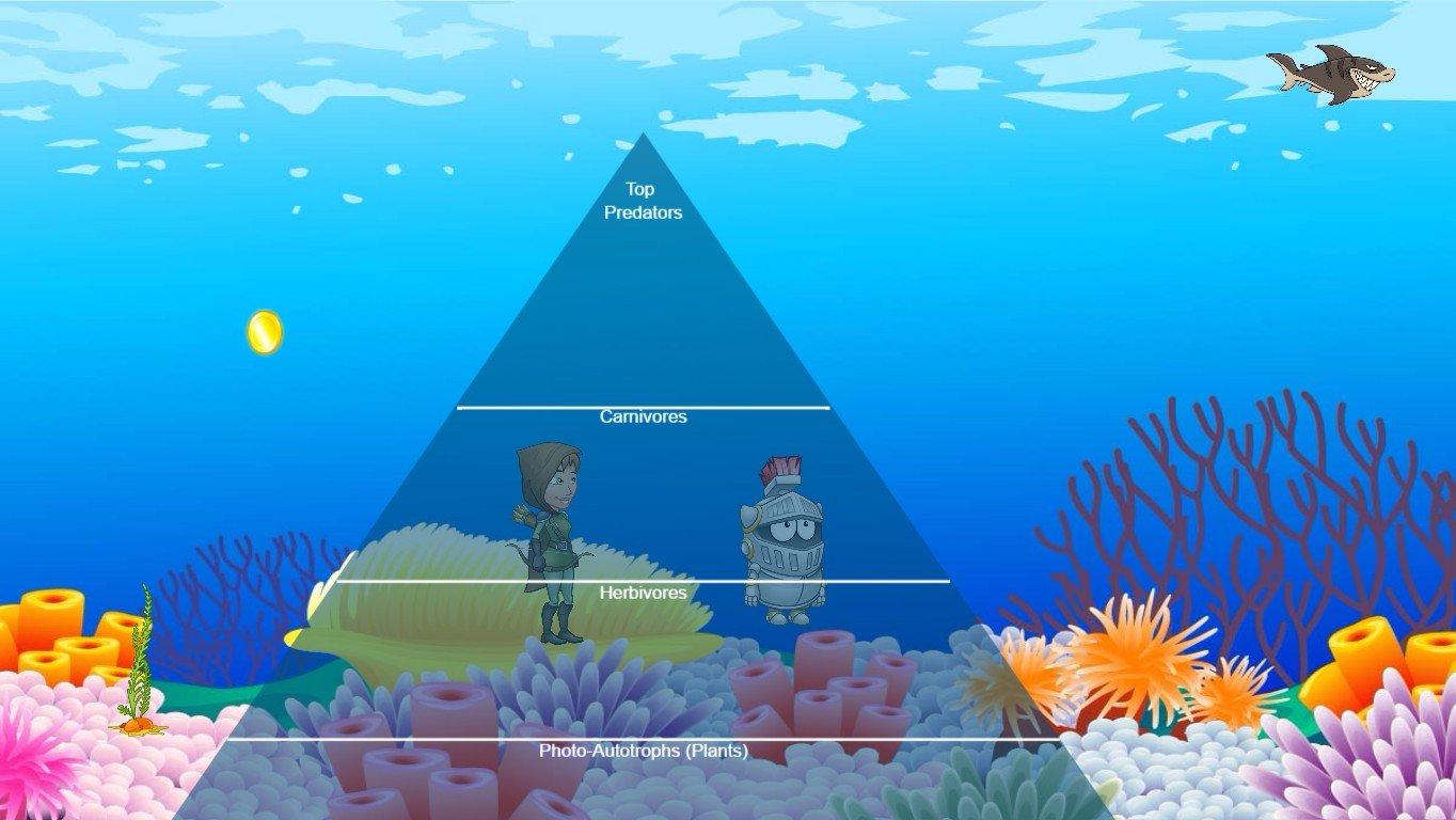 Ocean Ecological Pyramid - TEMPLATE