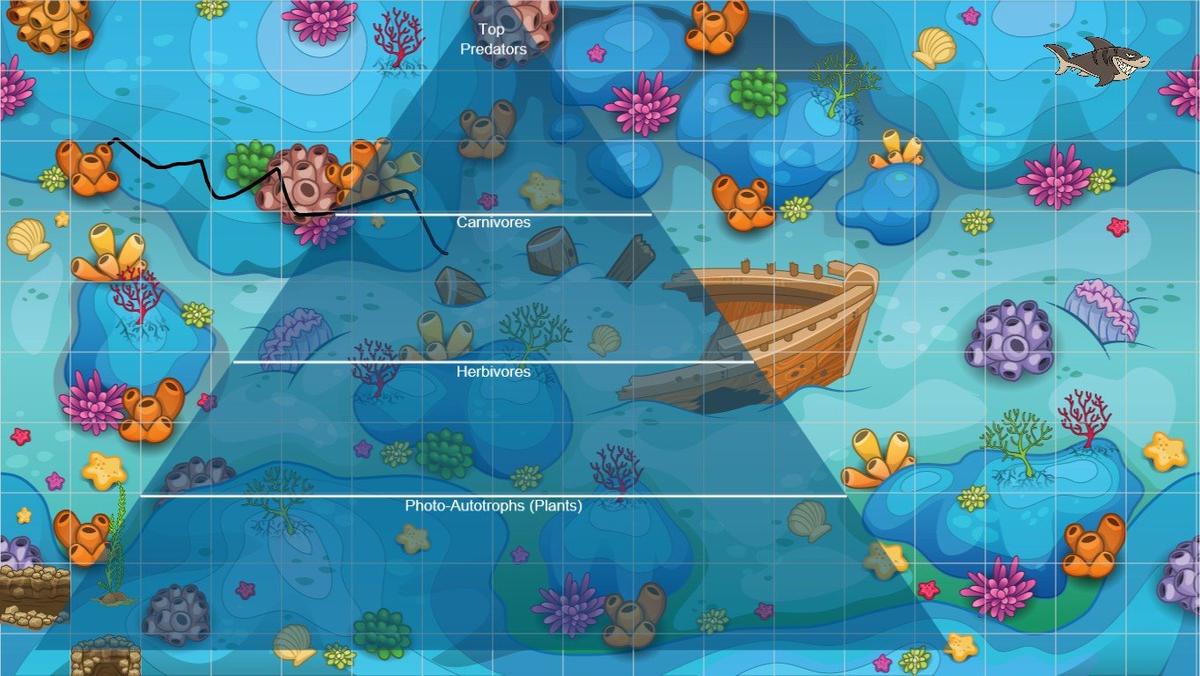 Ocean Ecological Pyramid - TEMPLATE