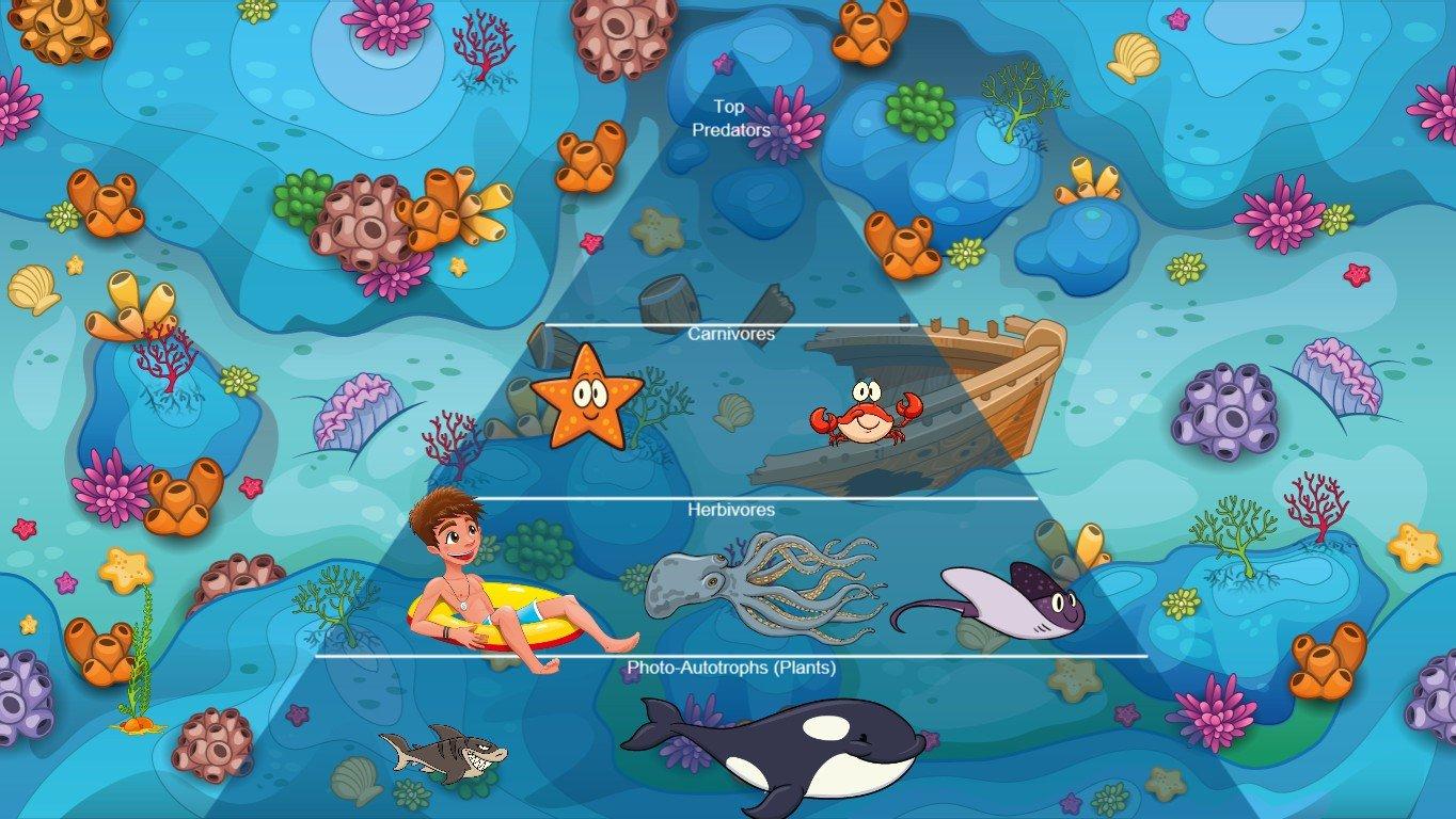 Ocean Ecological Pyramid - TEMPLATE