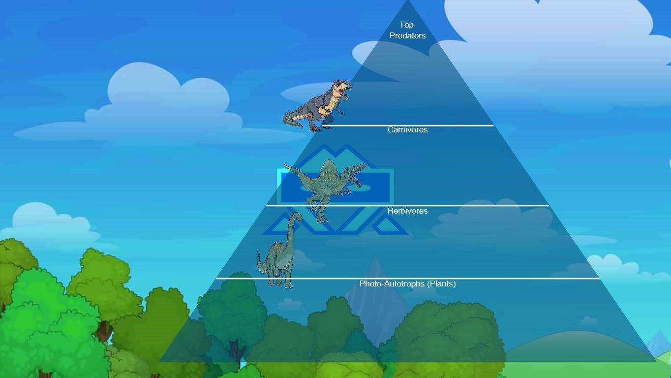 Ocean Ecological Pyramid - TEMPLATE