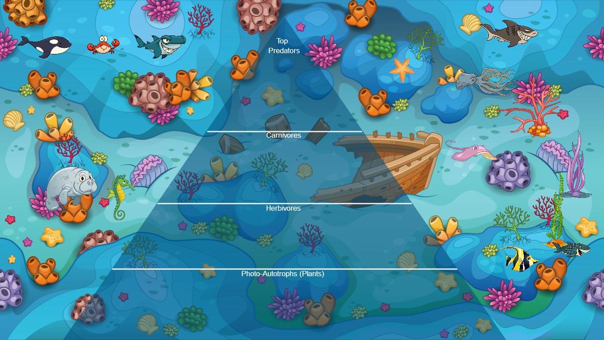 Ocean Ecological Pyramid - TEMPLATE