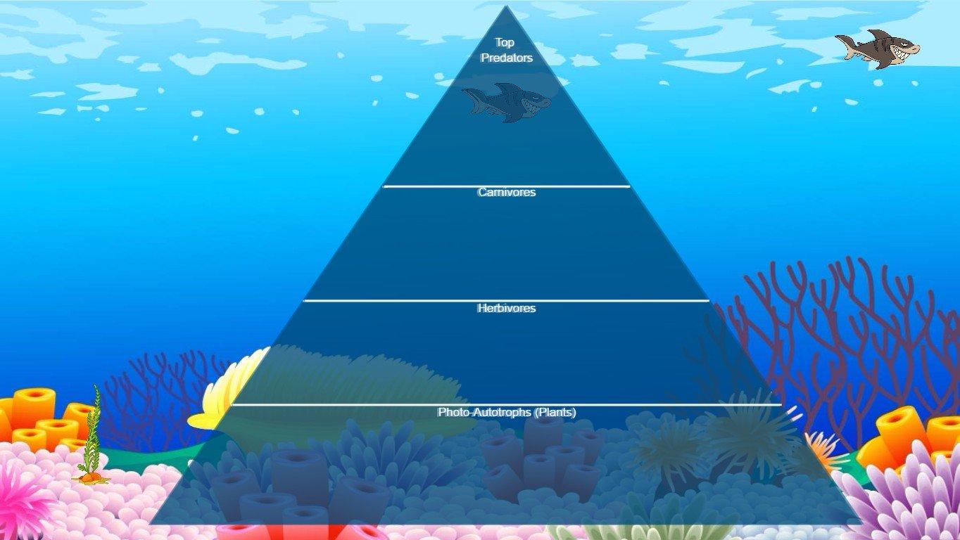 Ocean Ecological Pyramid - TEMPLATE