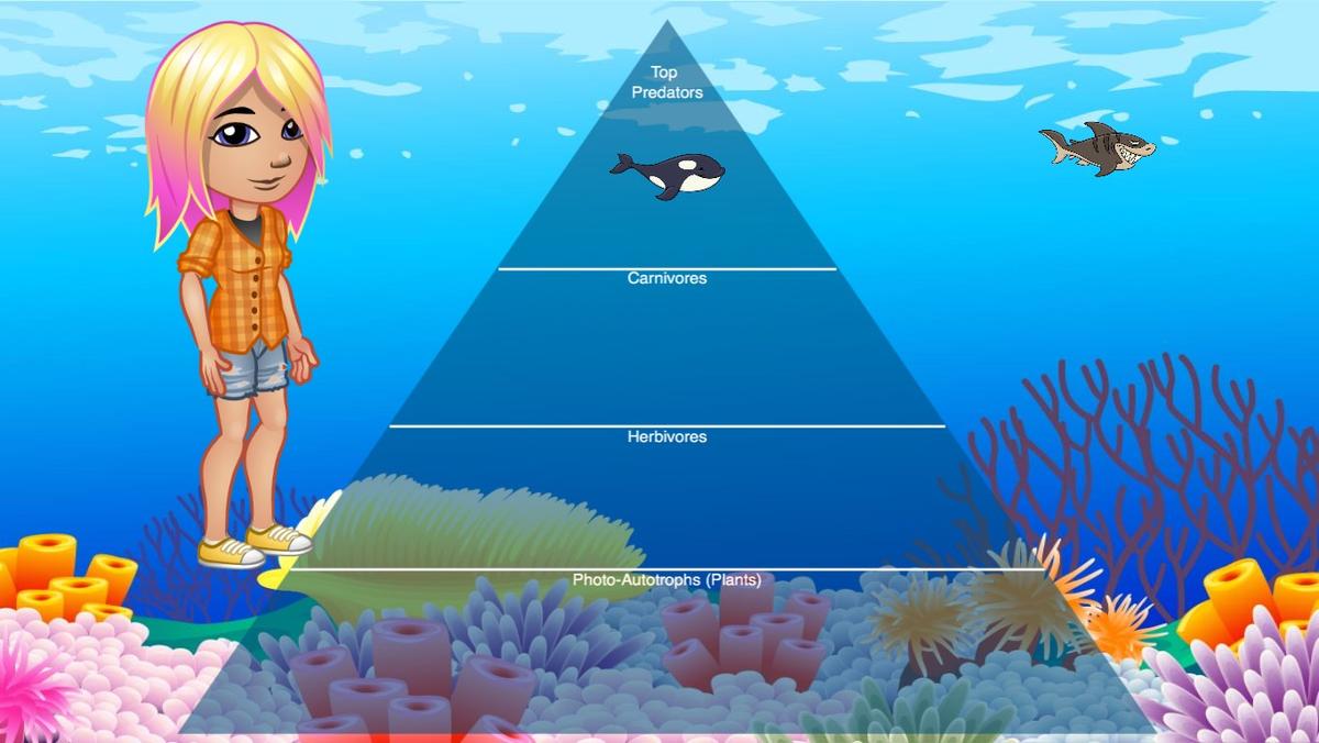 Ocean Ecological Pyramid - TEMPLATE