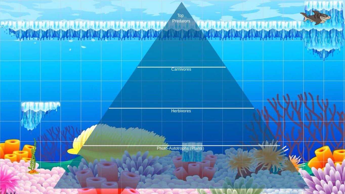 Ocean Ecological Pyramid - TEMPLATE