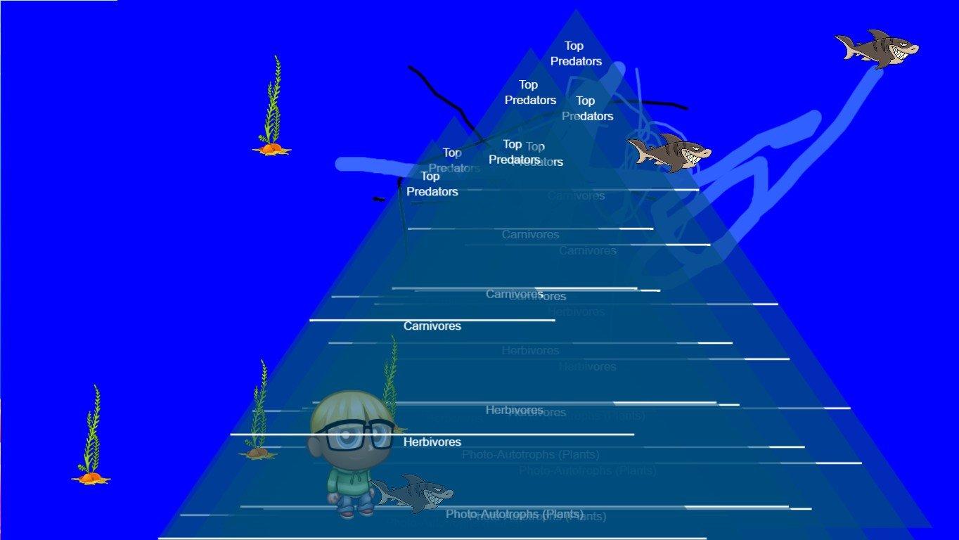 Ocean Ecological Pyramid - TEMPLATE