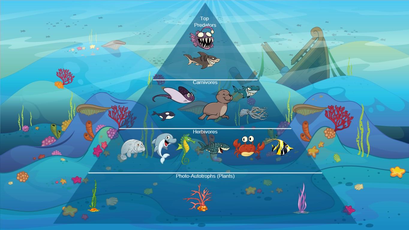 Ocean Ecological Pyramid - TEMPLATE