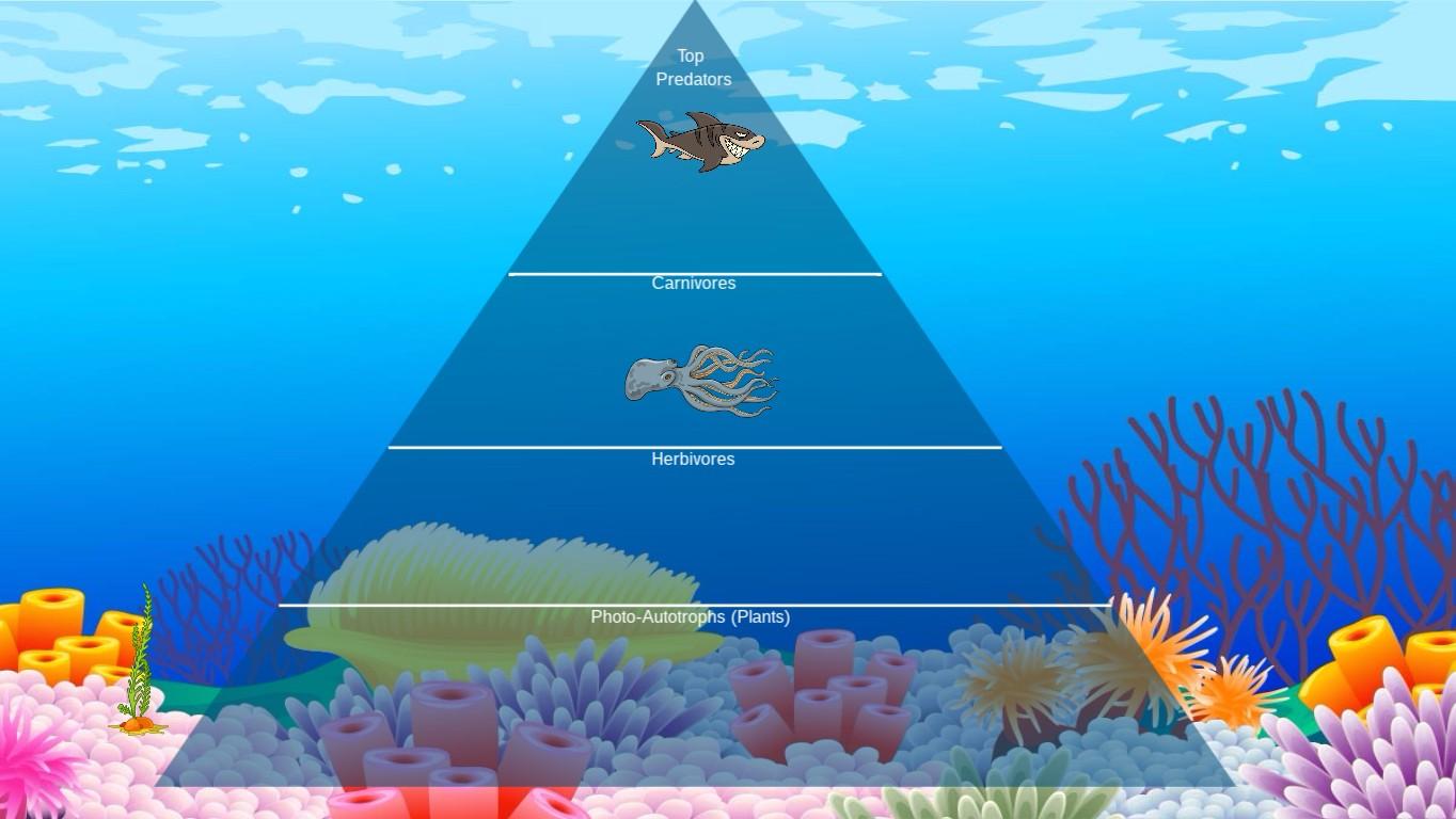 Ocean Ecological Pyramid - TEMPLATE