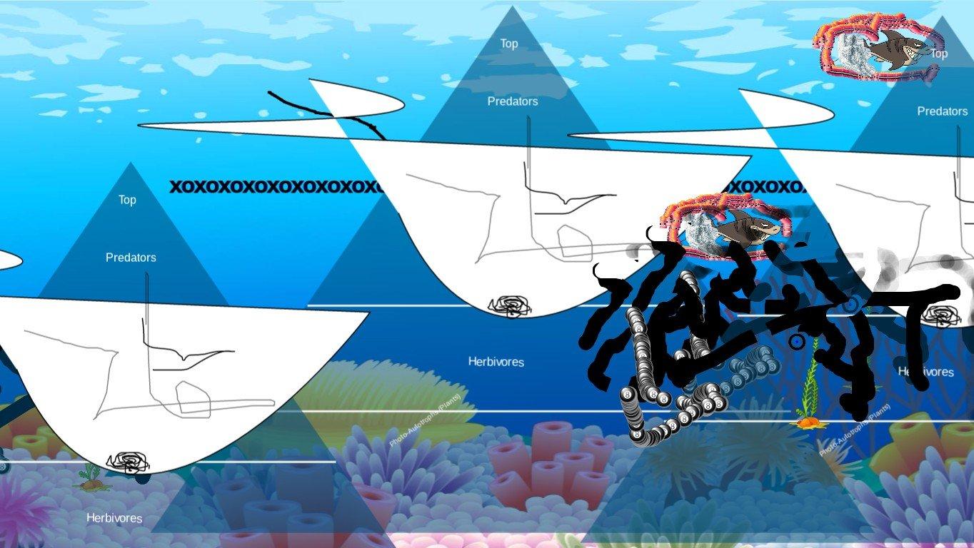 Ocean Ecological Pyramid - TEMPLATE