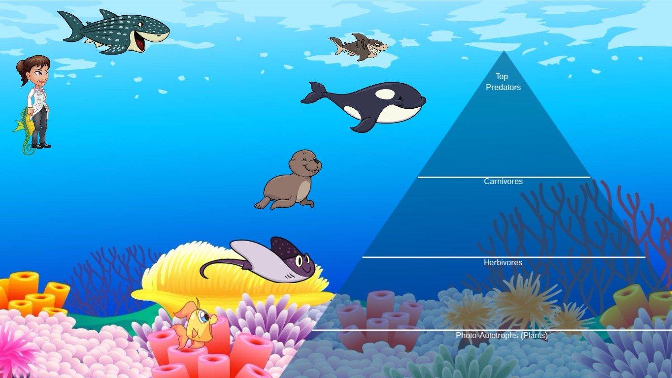 Ocean Ecological Pyramid - TEMPLATE