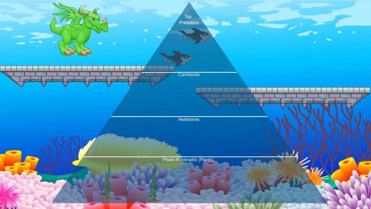 Ocean Ecological Pyramid - TEMPLATE