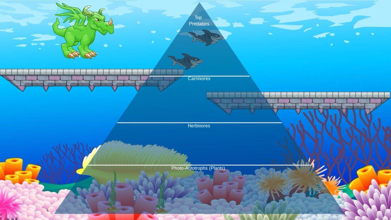 Ocean Ecological Pyramid - TEMPLATE