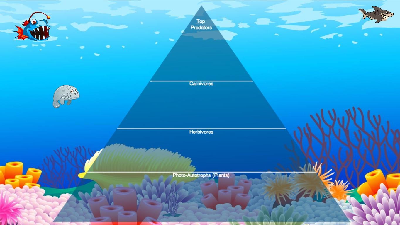 Ocean Ecological Pyramid - TEMPLATE