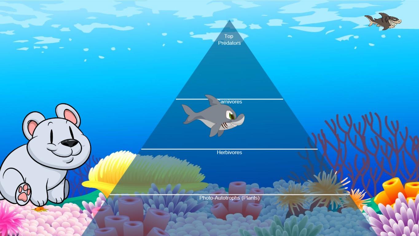 Ocean Ecological Pyramid - TEMPLATE