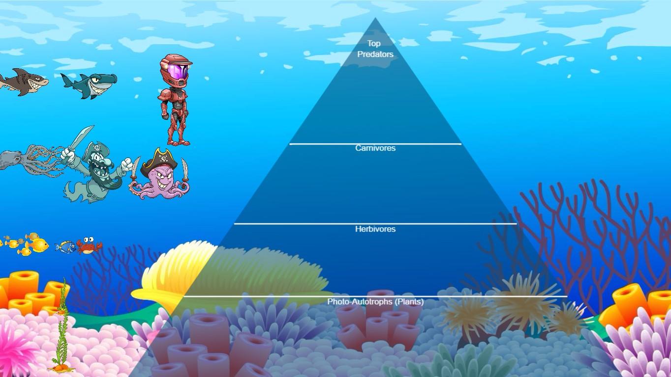 Ocean Ecological Pyramid - TEMPLATE