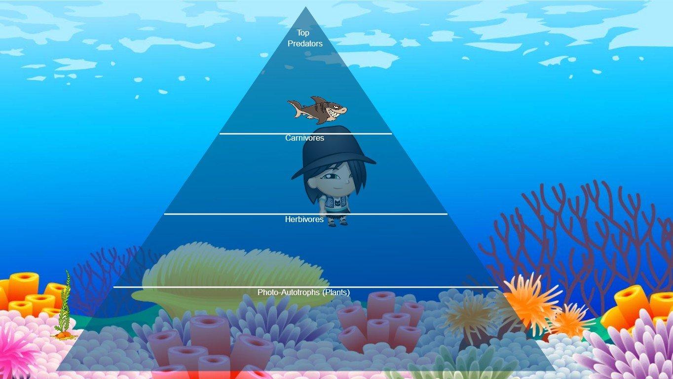 Ocean Ecological Pyramid - TEMPLATE