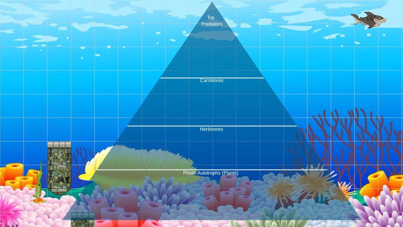 Ocean Ecological Pyramid - TEMPLATE