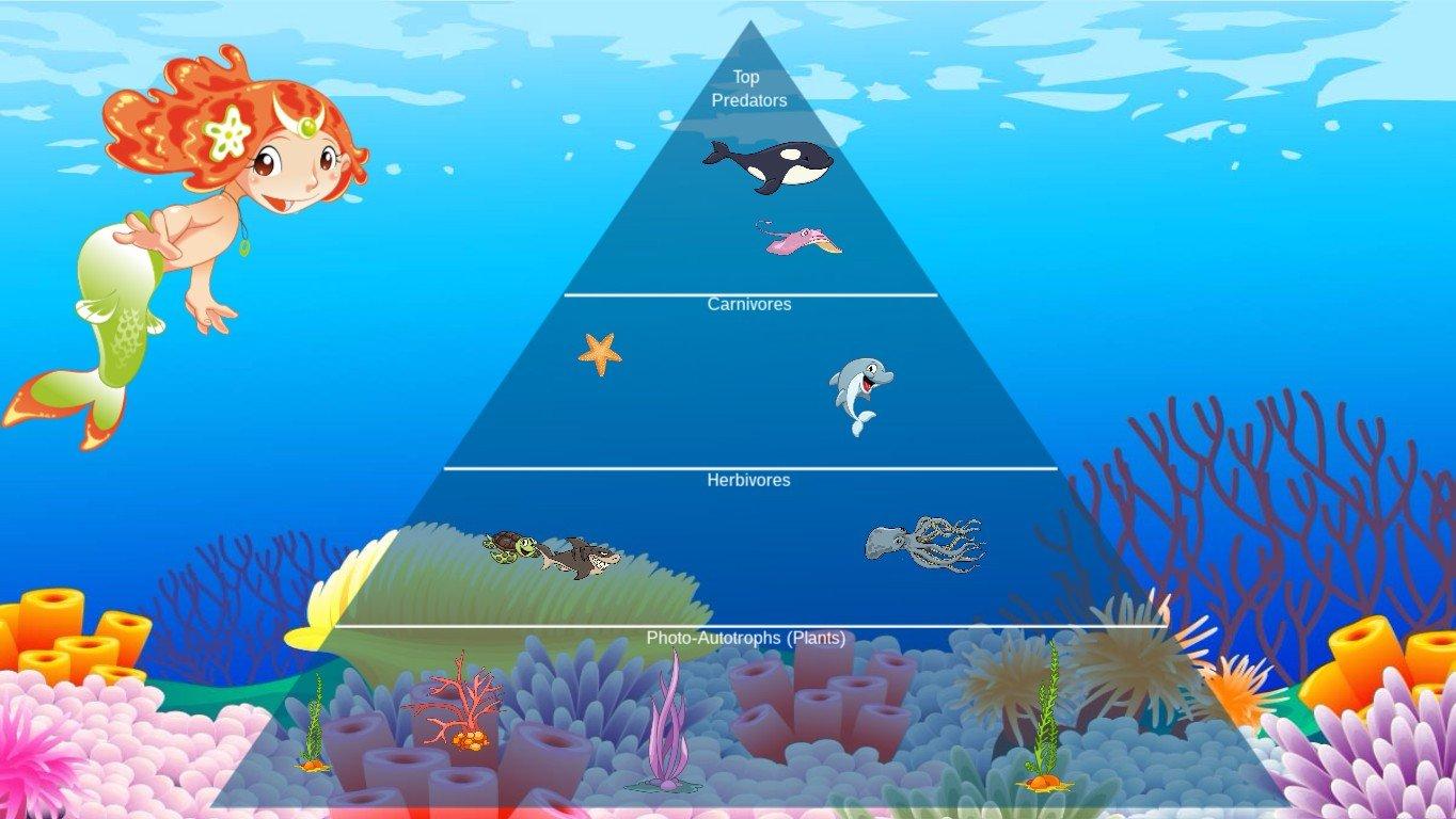 Ocean Ecological Pyramid - TEMPLATE