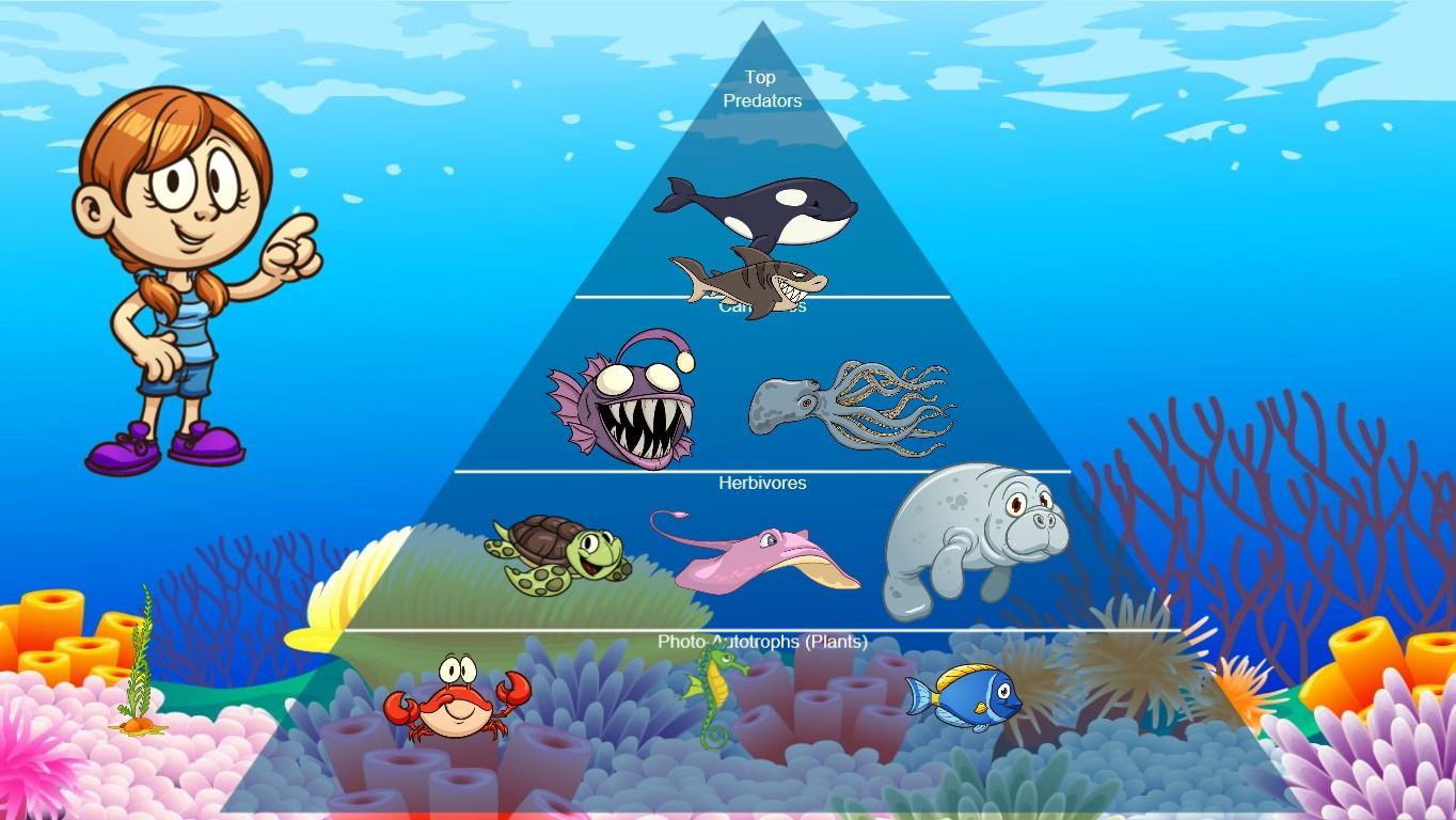 Ocean Ecological Pyramid - TEMPLATE