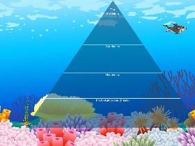 Ecological Pyramid 12