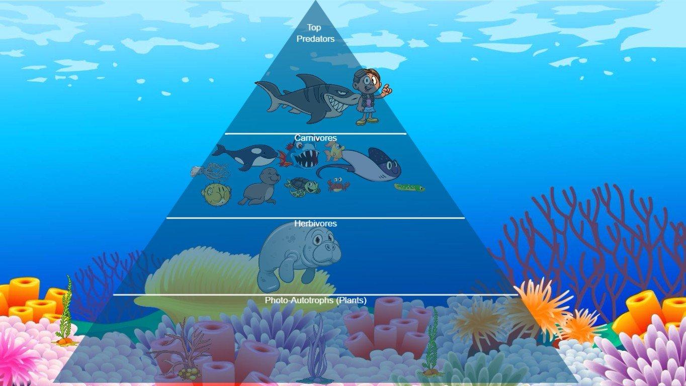 Ocean Ecological Pyramid - TEMPLATE