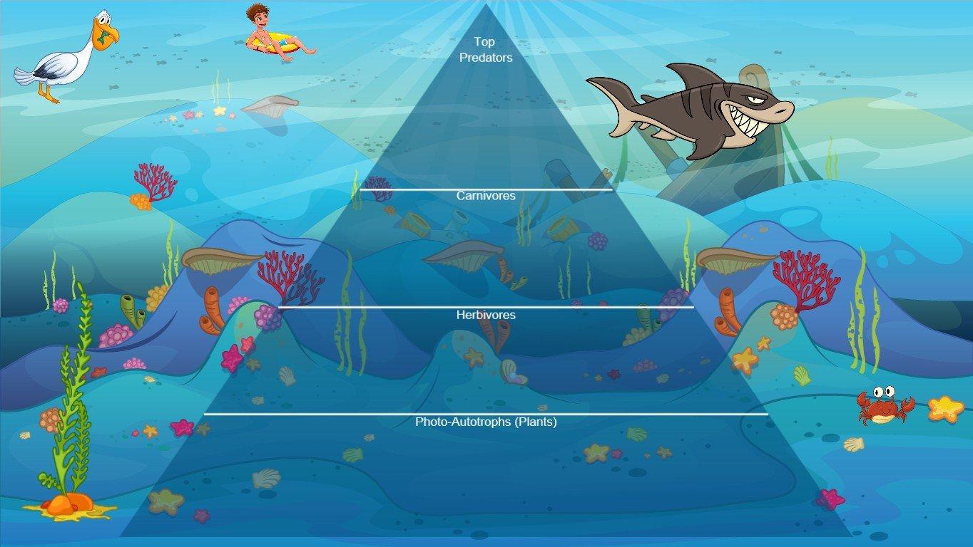 Ocean Ecological Pyramid - TEMPLATE