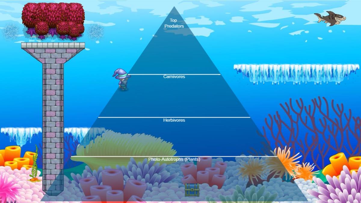 Ocean Ecological Pyramid - TEMPLATE