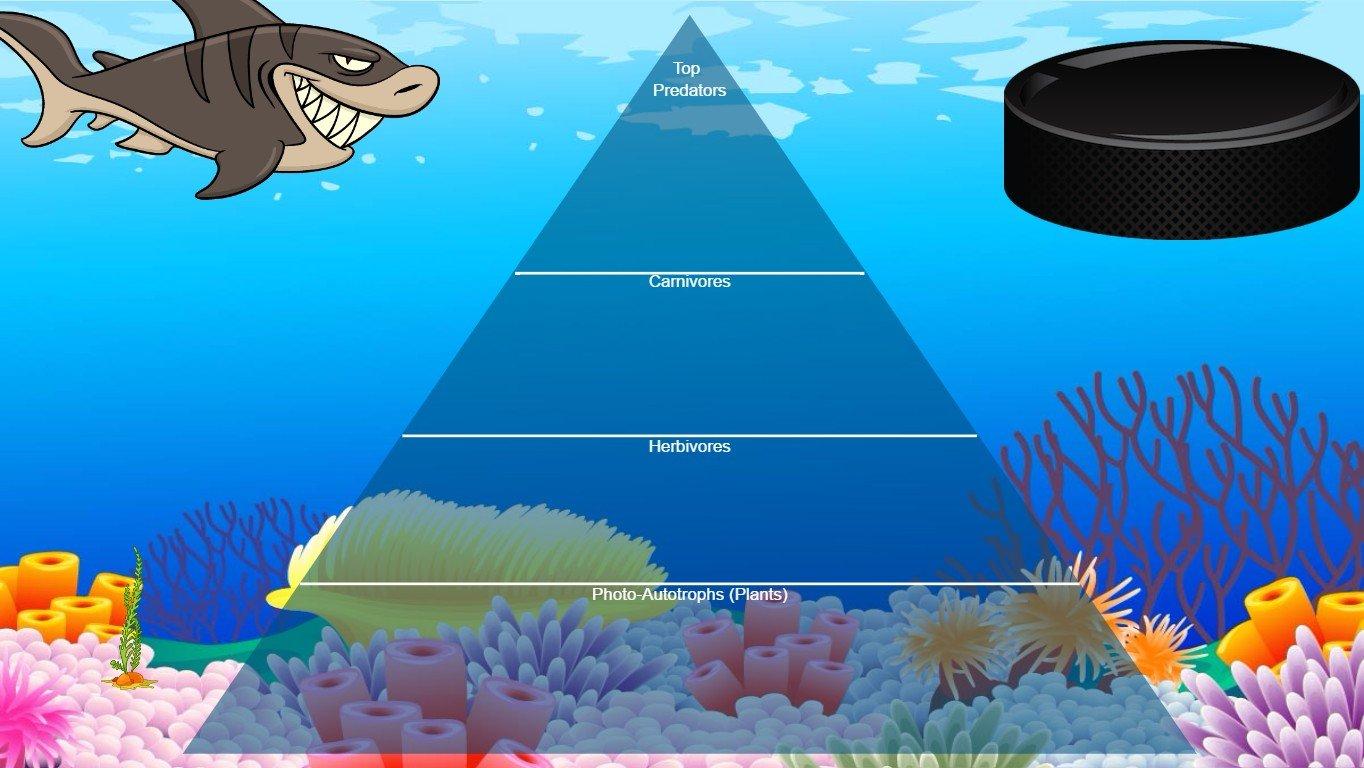 Ocean Ecological Pyramid - TEMPLATE