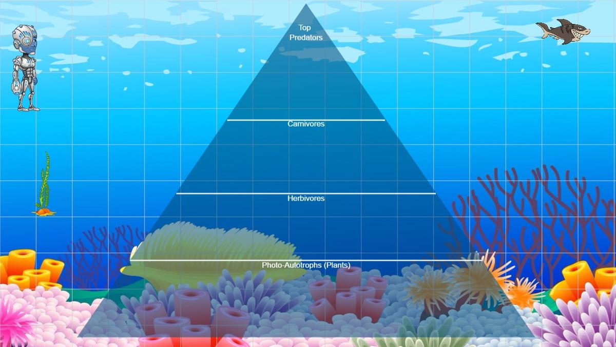 Ocean Ecological Pyramid - TEMPLATE