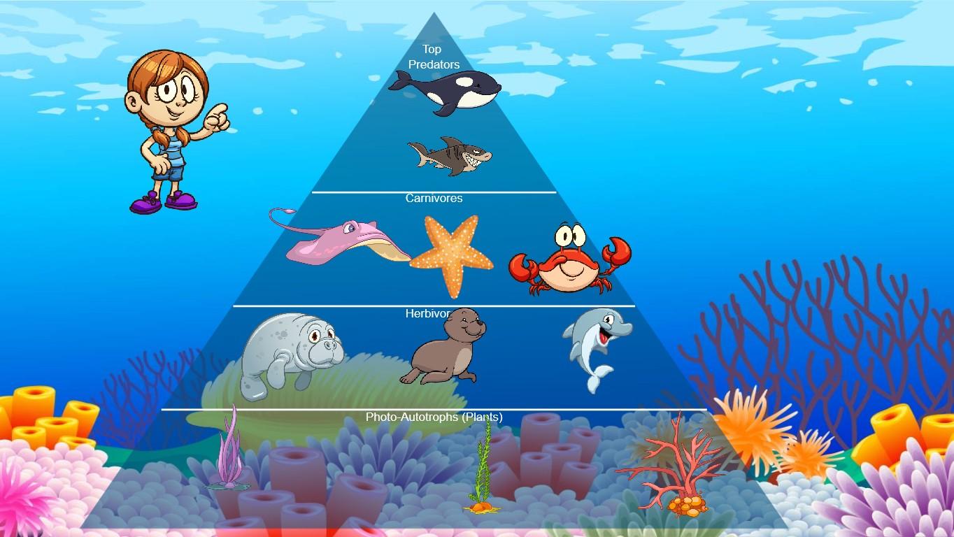 Ocean Ecological Pyramid - TEMPLATE