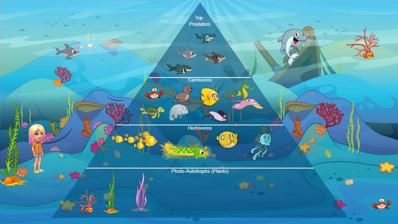 Ocean Ecological Pyramid - TEMPLATE