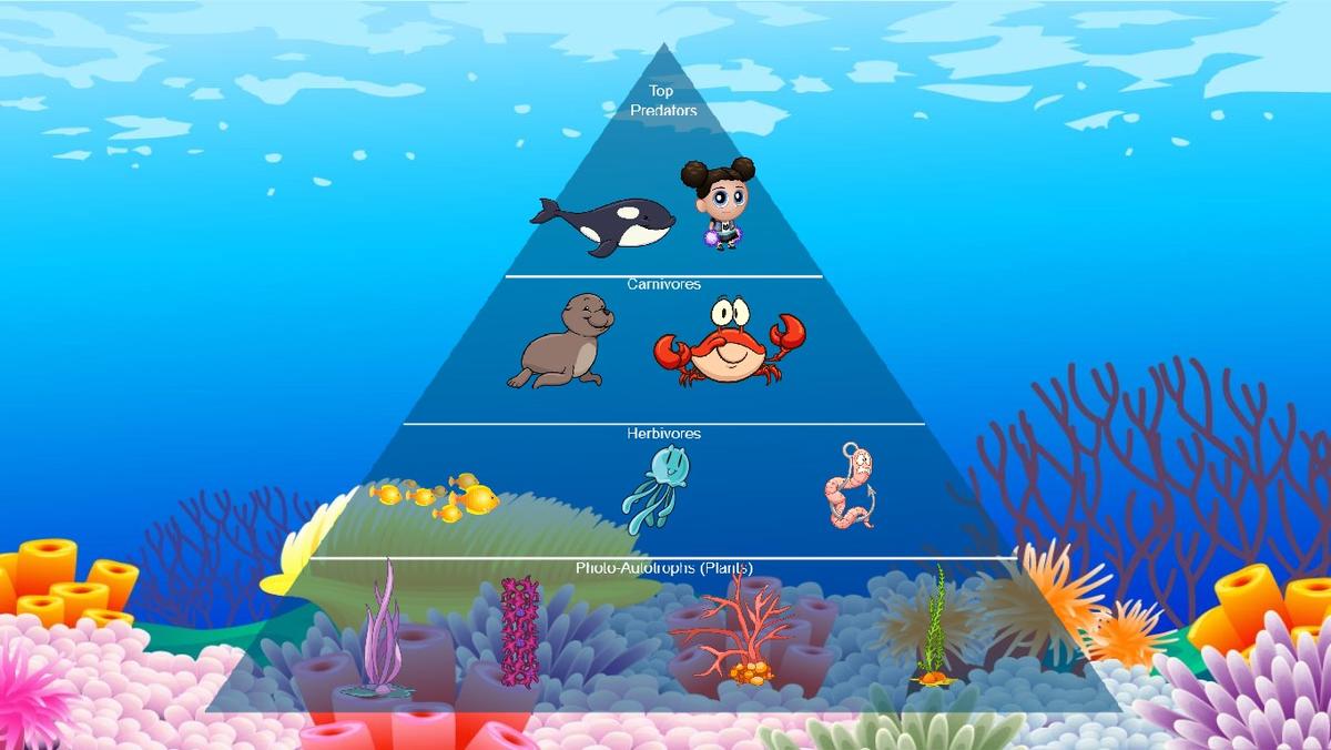 Ocean Ecological Pyramid - TEMPLATE