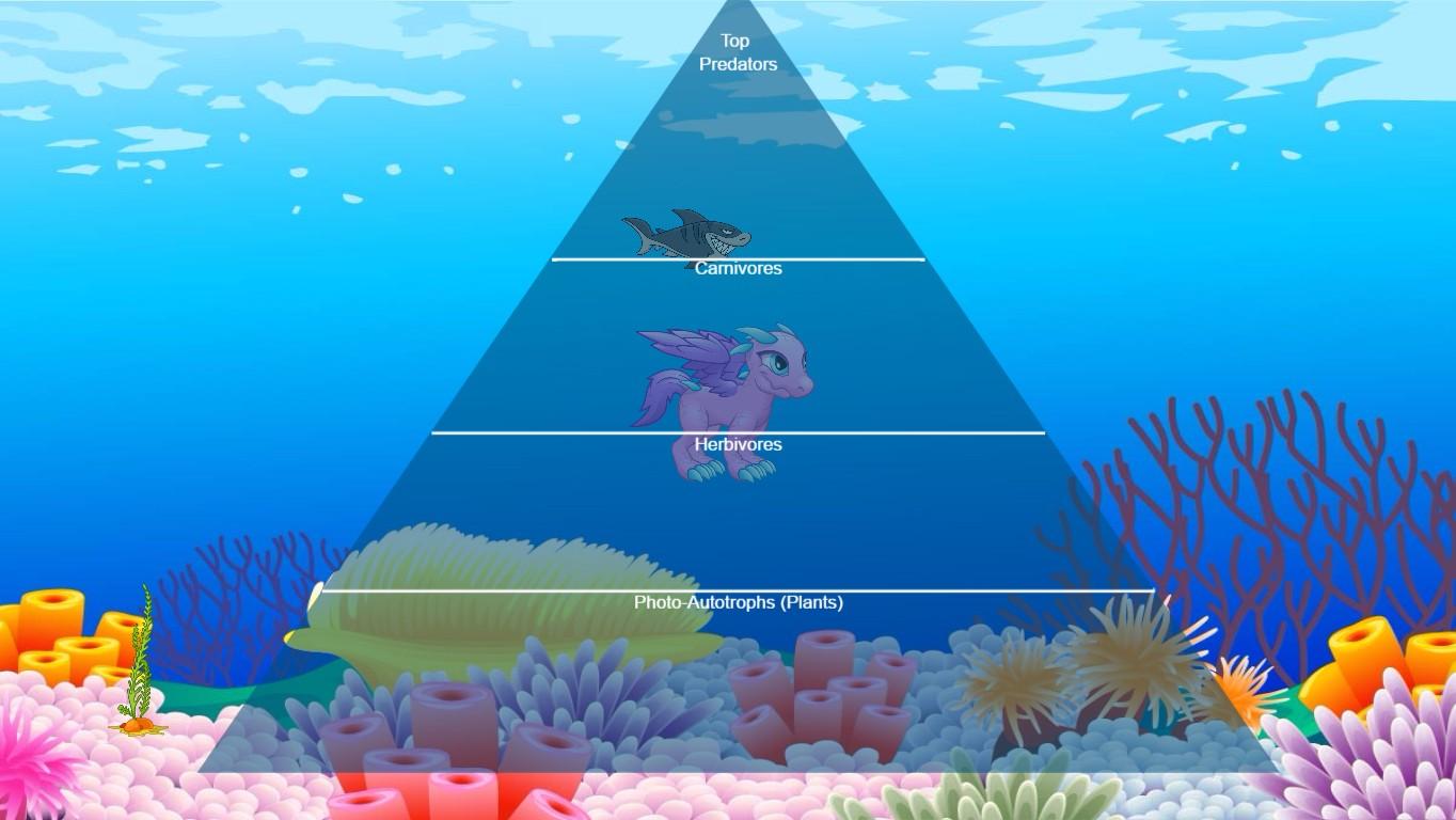 Ocean Ecological Pyramid - TEMPLATE