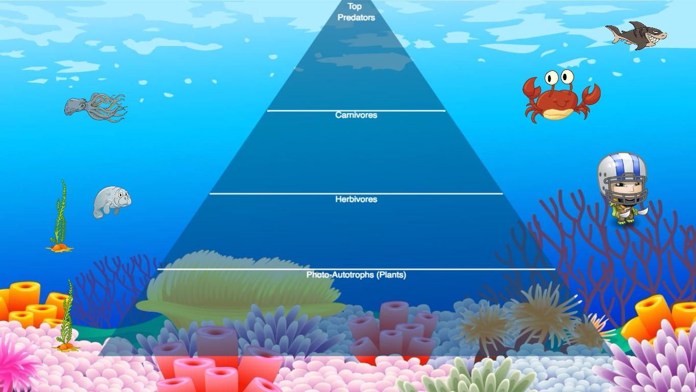 Ocean Ecological Pyramid - TEMPLATE