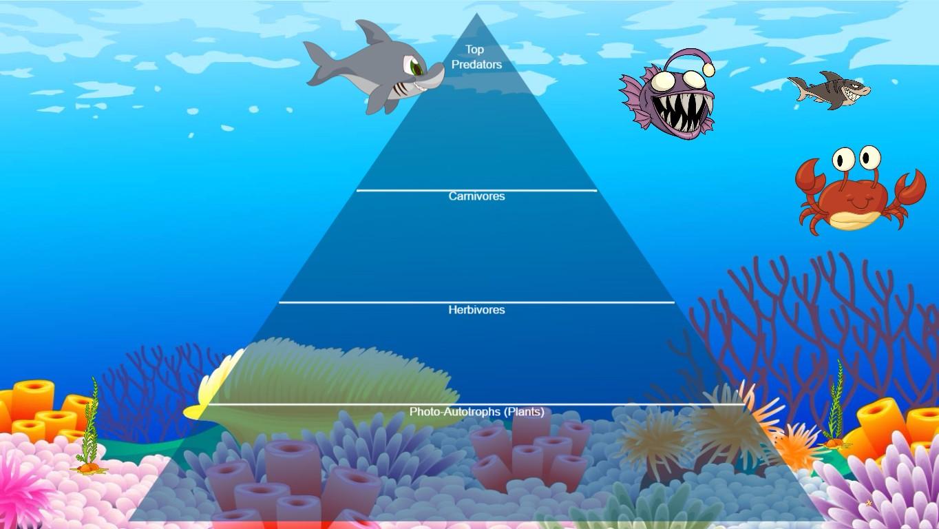 Ocean Ecological Pyramid - TEMPLATE