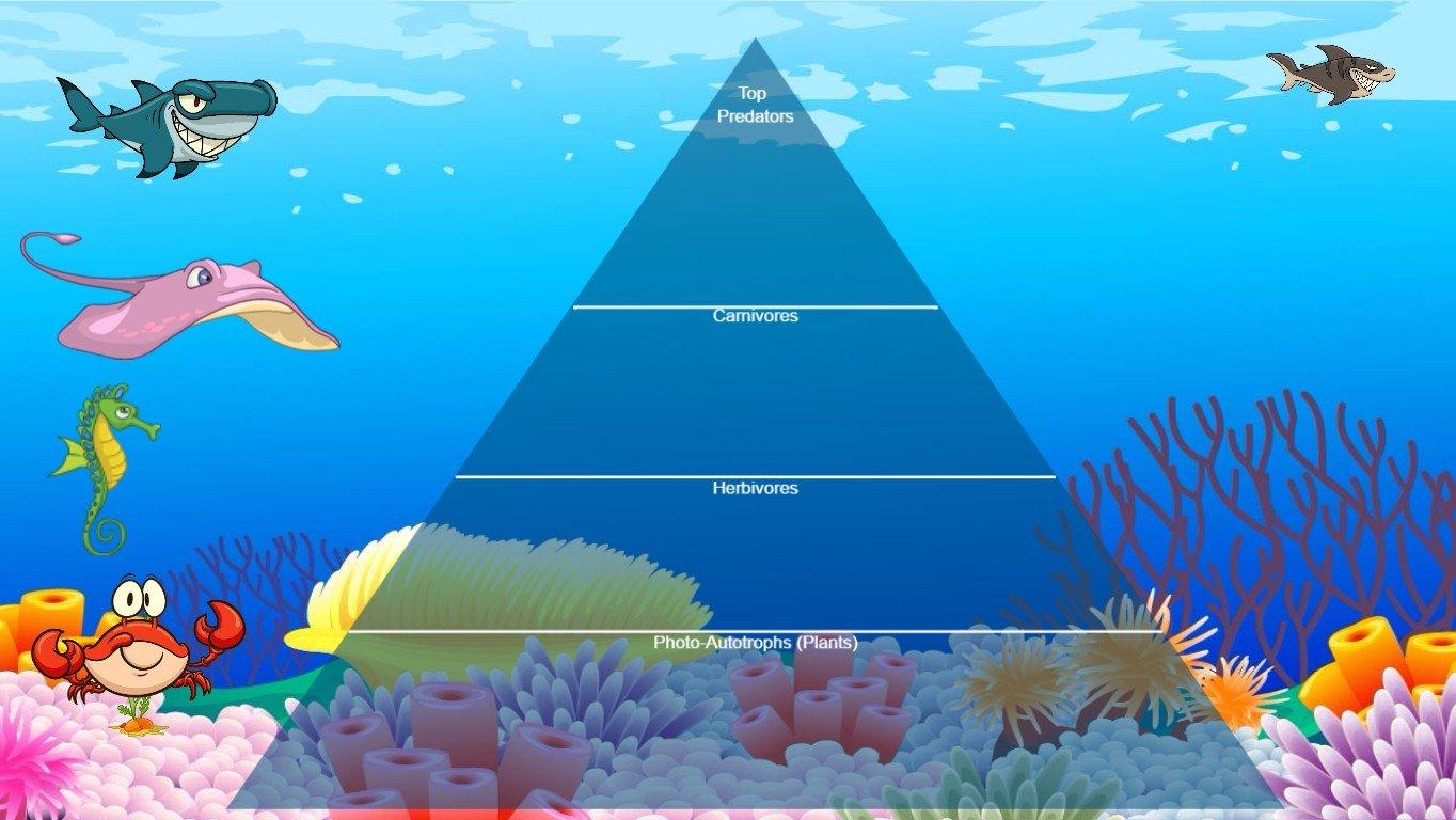 Ocean Ecological Pyramid - TEMPLATE