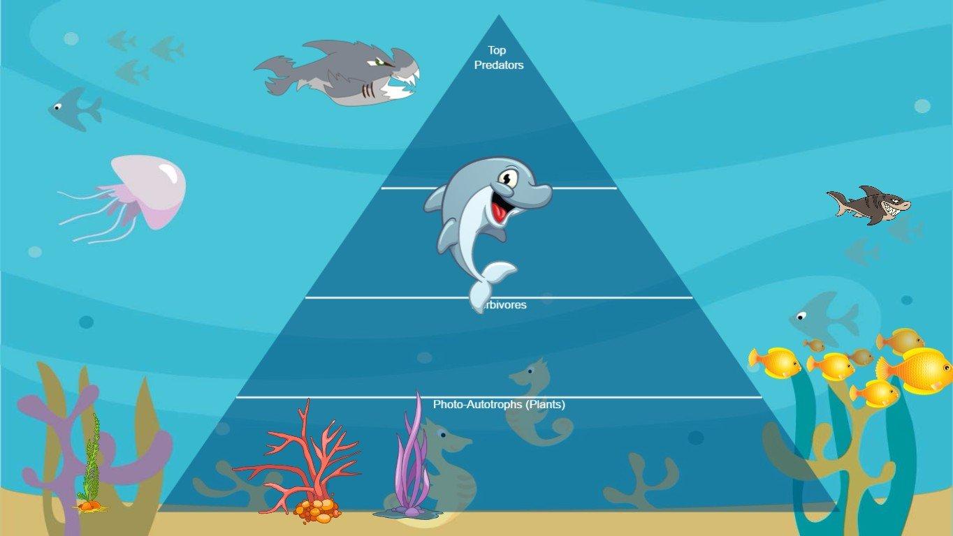 Ocean Ecological Pyramid - TEMPLATE