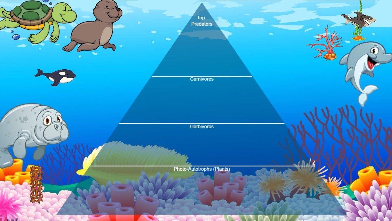 Ocean Ecological Pyramid - TEMPLATE