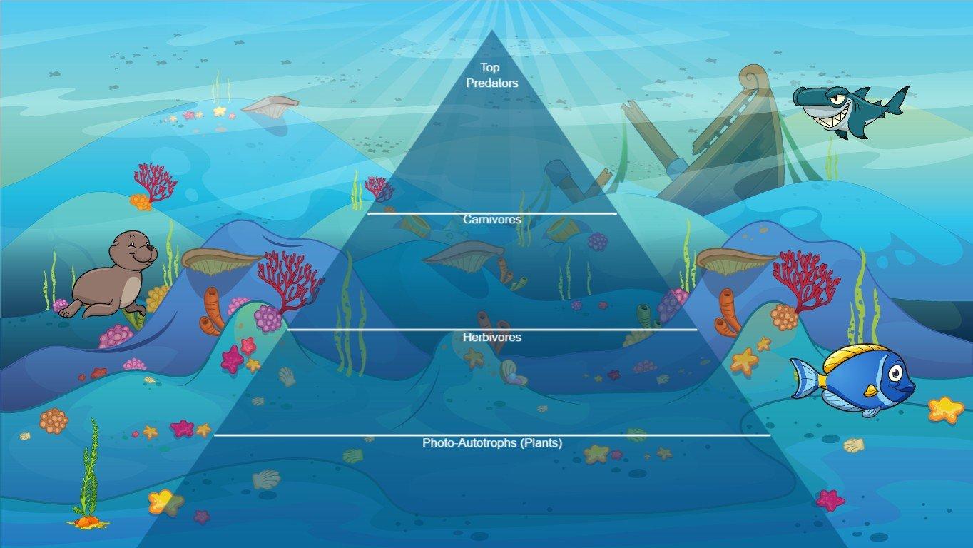 Ocean Ecological Pyramid - TEMPLATE