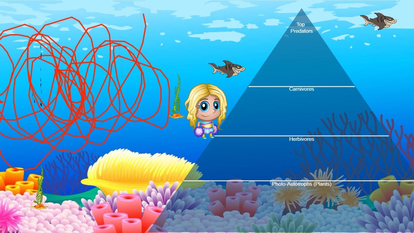 Ocean Ecological Pyramid - TEMPLATE