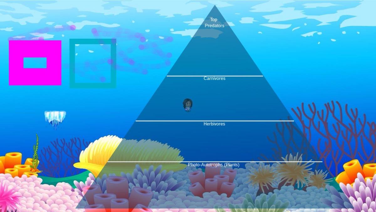 Ocean Ecological Pyramid - TEMPLATE