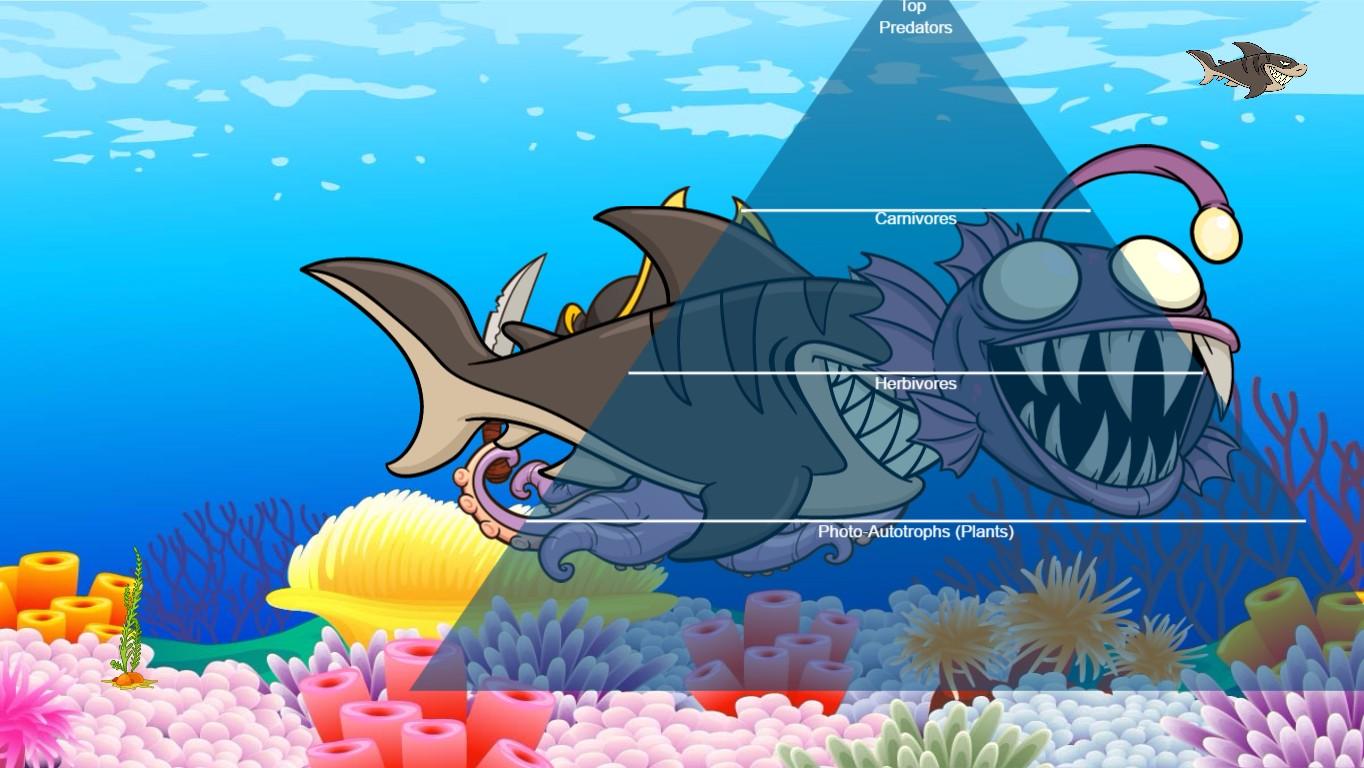 Ocean Ecological Pyramid - TEMPLATE