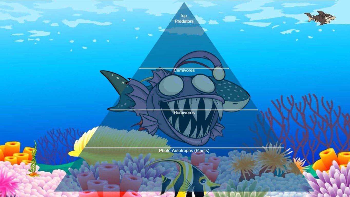 Ocean Ecological Pyramid - TEMPLATE